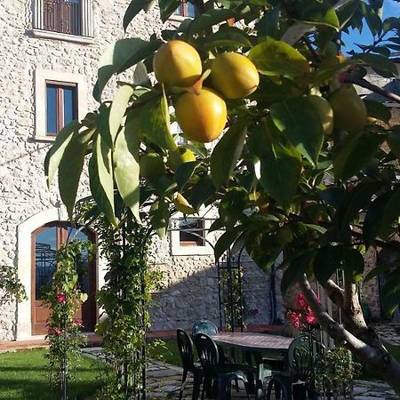 San Demetrio ne' Vestini Alloggi Agrituristici Antica Dimora 빌라 외부 사진