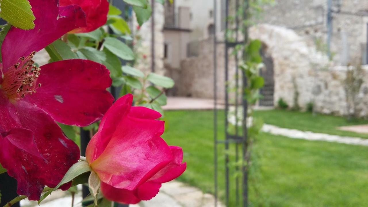 San Demetrio ne' Vestini Alloggi Agrituristici Antica Dimora 빌라 외부 사진